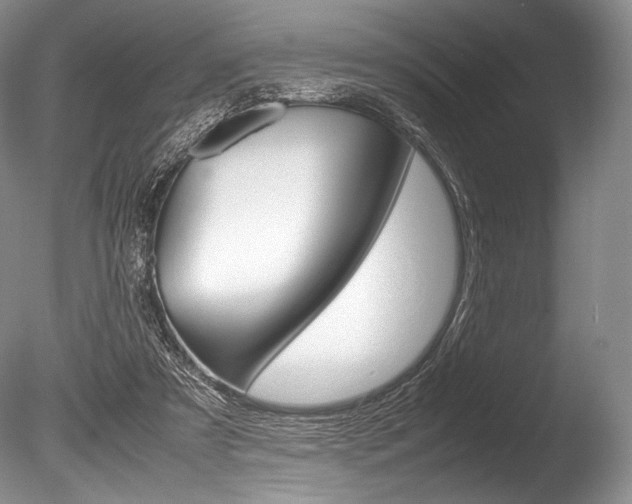 X0000086310305200703301003