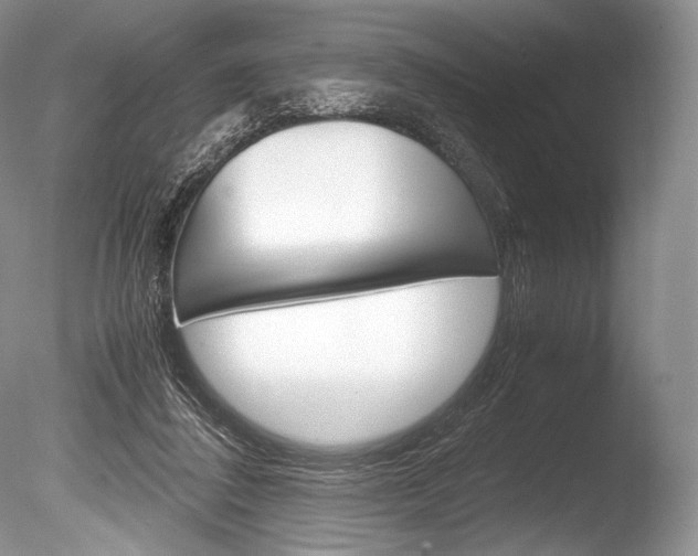 X0000086310308200703301003