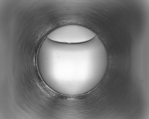 X0000086310310200703301003