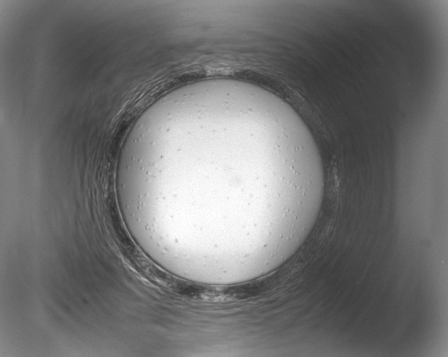 X0000086310311200703301003