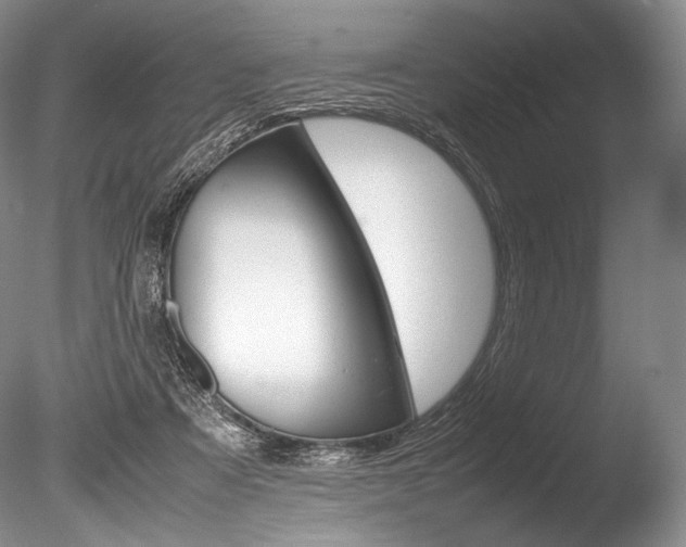 X0000086310313200703301003