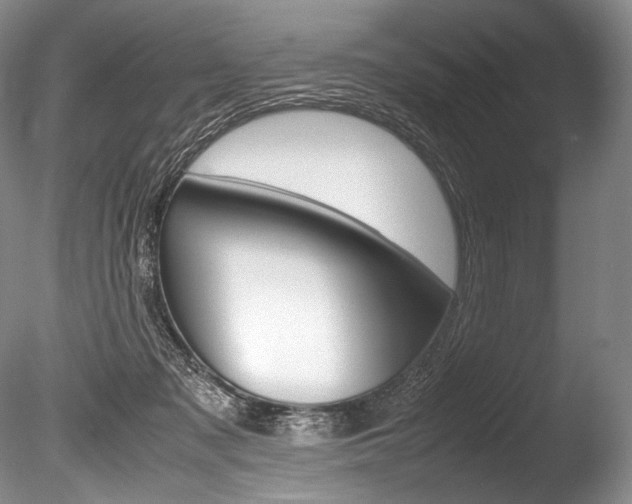 X0000086310317200703301003