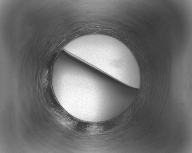 X0000086310319200703301003
