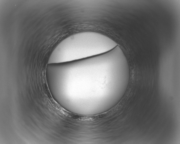 X0000086310322200703301003