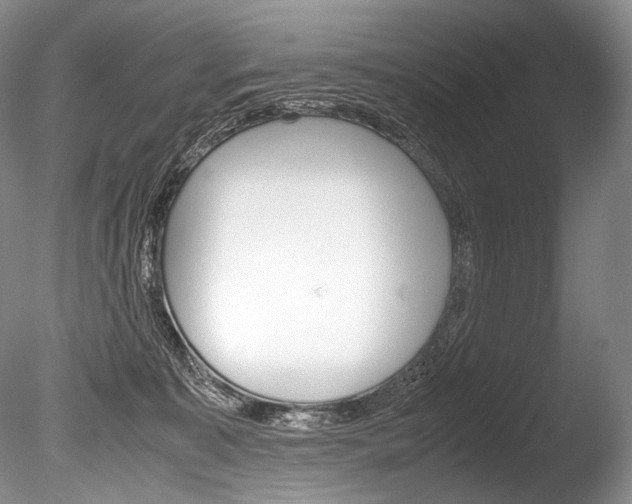 X0000086310323200703301003