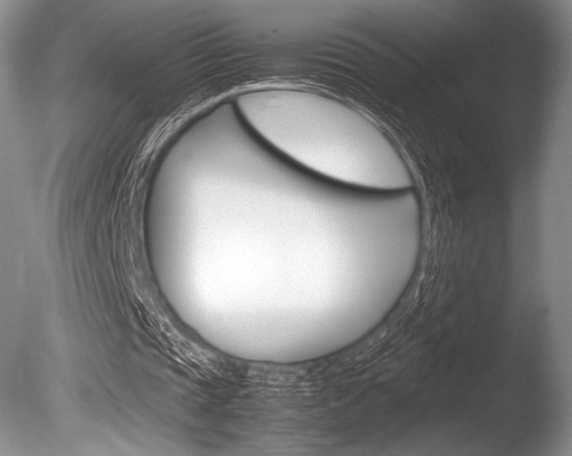 X0000086310337200703301002