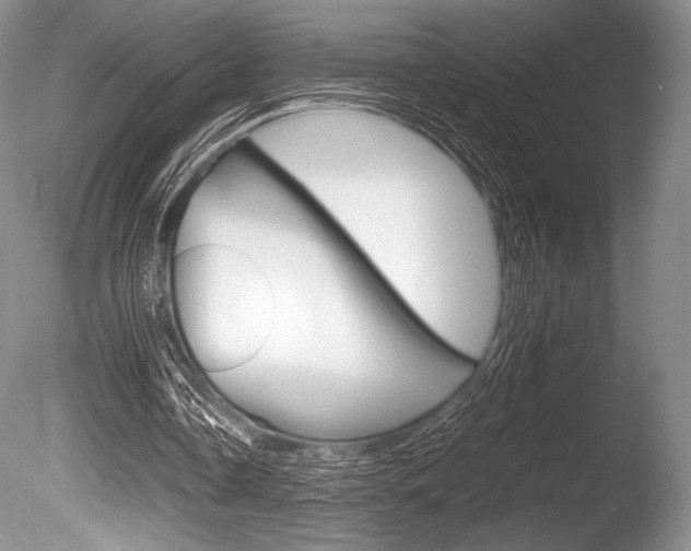 X0000086310338200703301002