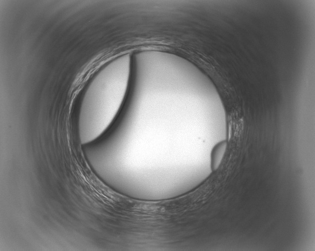 X0000086310339200703301002