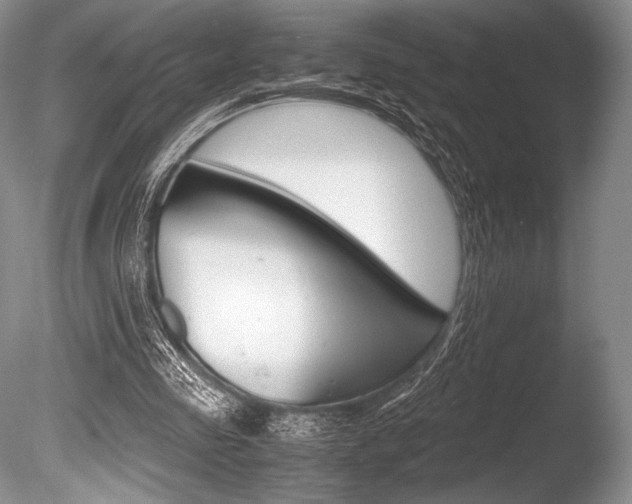 X0000086310341200703301002