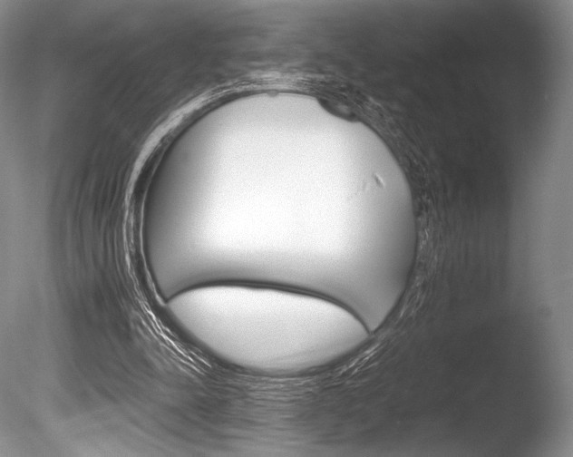 X0000086310342200703301002