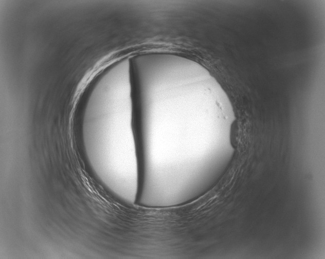 X0000086310343200703301002