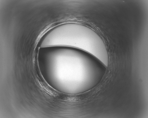 X0000086310344200703301002