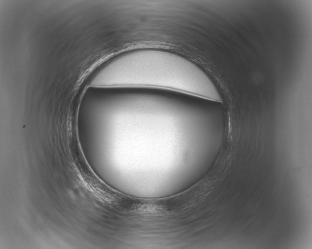 X0000086310348200703301002
