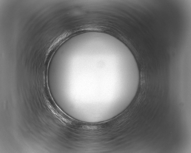 X0000086310349200703301002