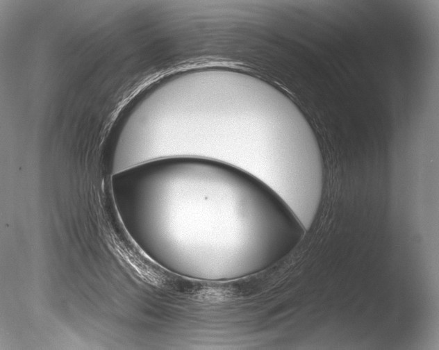 X0000086310350200703301002