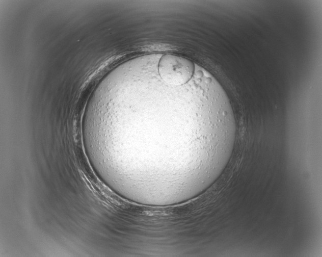 X0000086310351200703301002