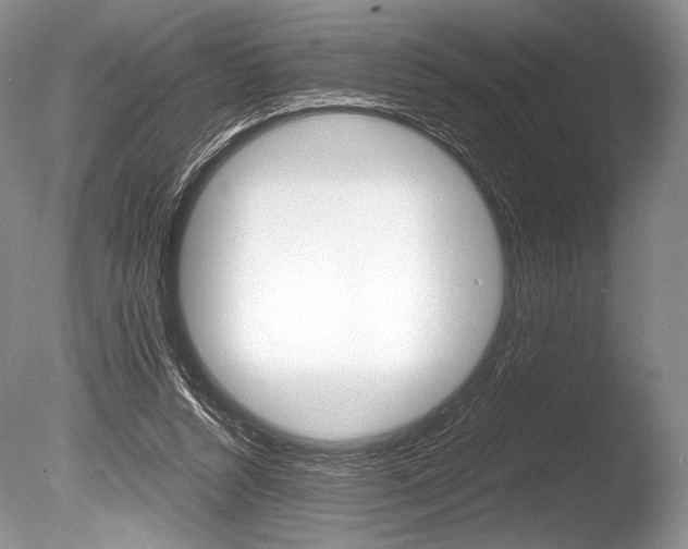 X0000086310352200703301002