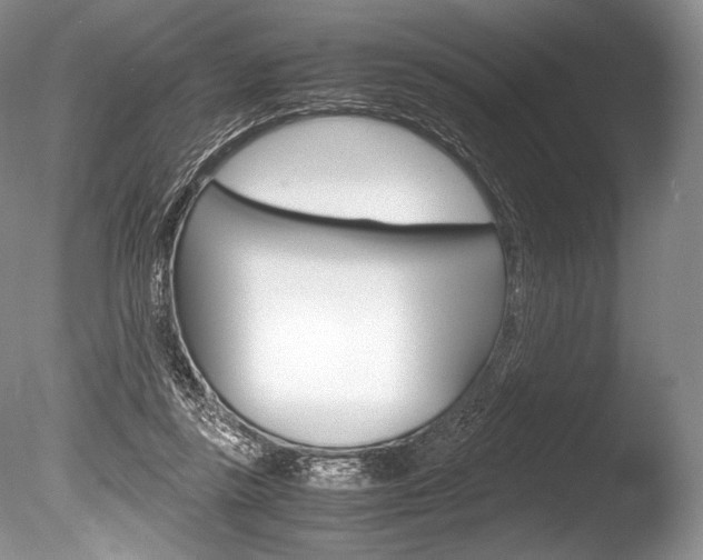 X0000086310355200703301002