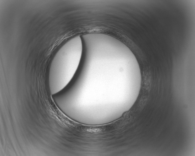 X0000086310357200703301002