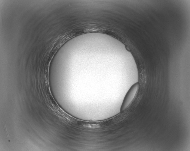 X0000086310361200703301002