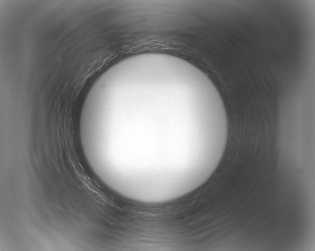 X0000086310362200703301002