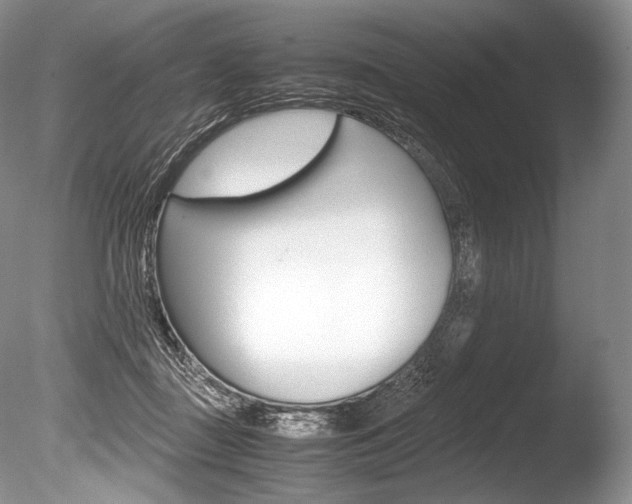 X0000086310363200703301002