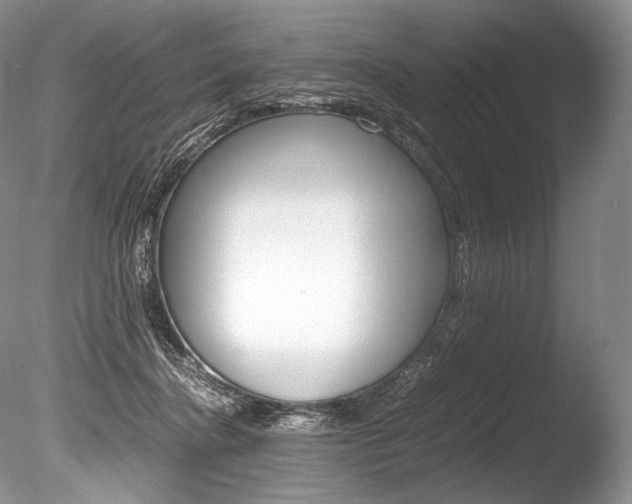 X0000086310364200703301002