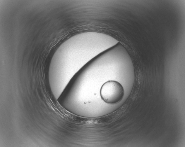 X0000086310366200703301002