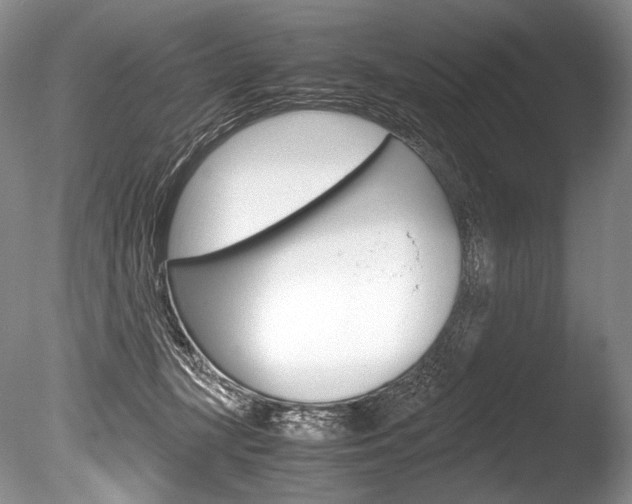 X0000086310367200703301002