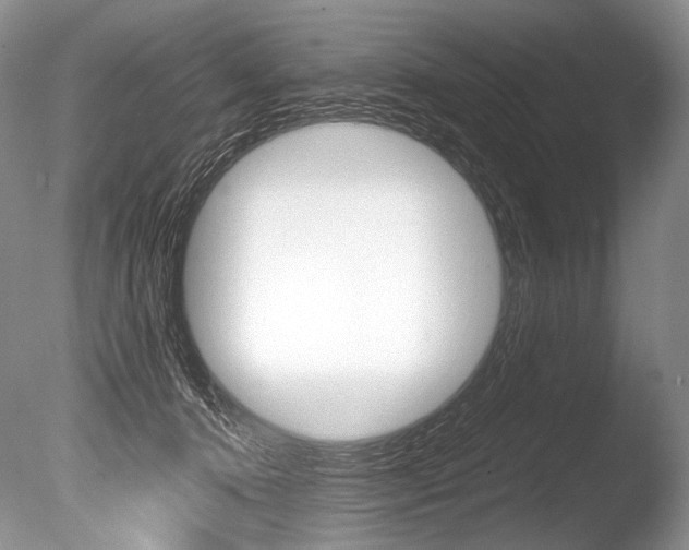X0000086310368200703301002