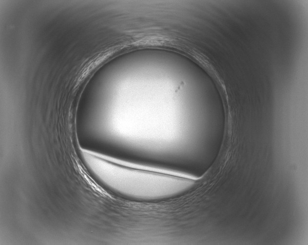 X0000086310389200703301002