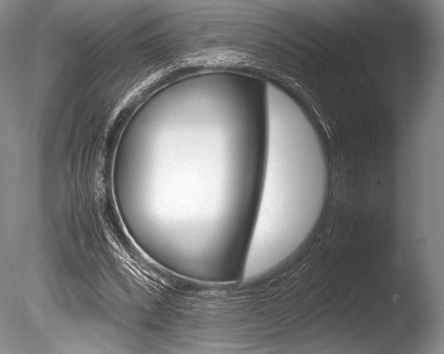 X0000086310392200703301002