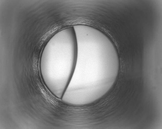 X0000086310394200703301002