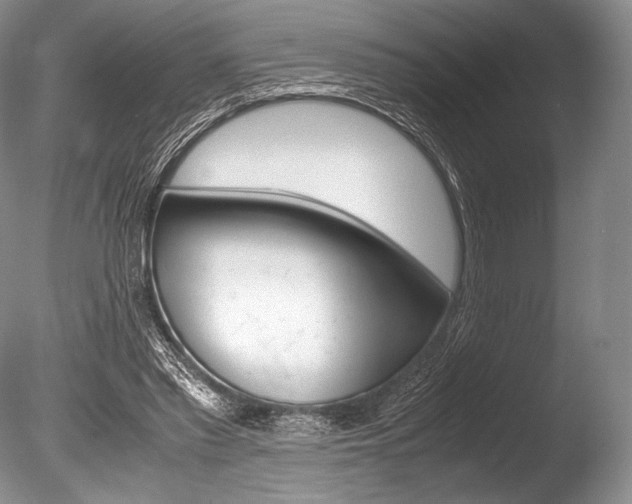 X0000086310397200703301002