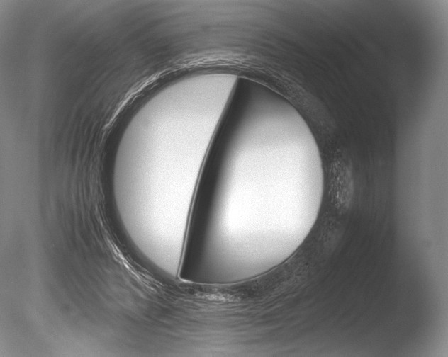 X0000086310400200703301002