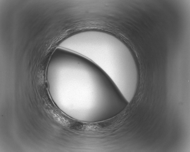 X0000086310401200703301002