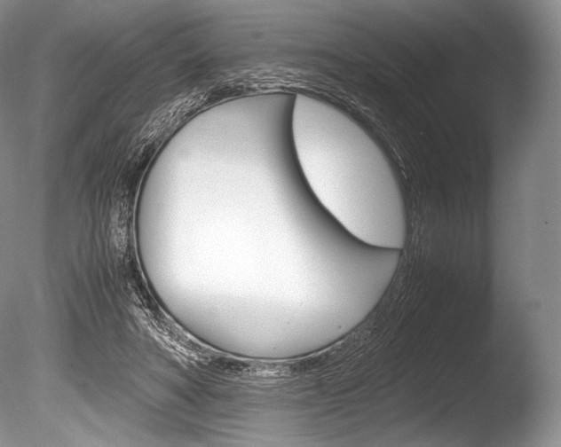 X0000086310402200703301002