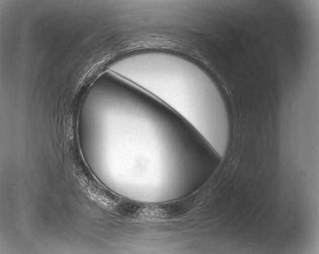X0000086310403200703301002