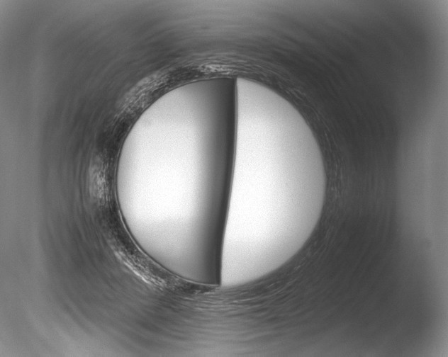 X0000086310408200703301001