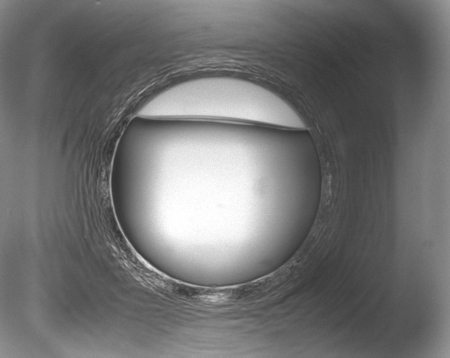 X0000086310411200703301001
