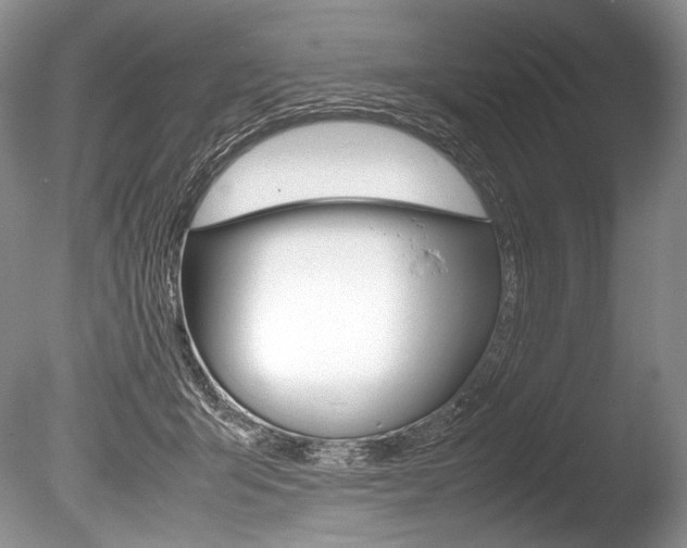 X0000086310415200703301001