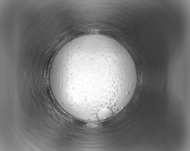 X0000086310418200703301001