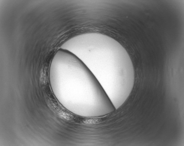 X0000086310422200703301001