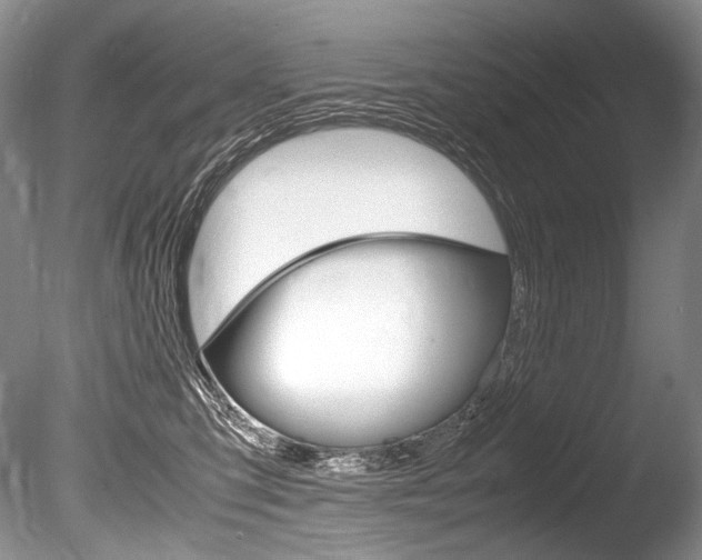 X0000086310423200703301001