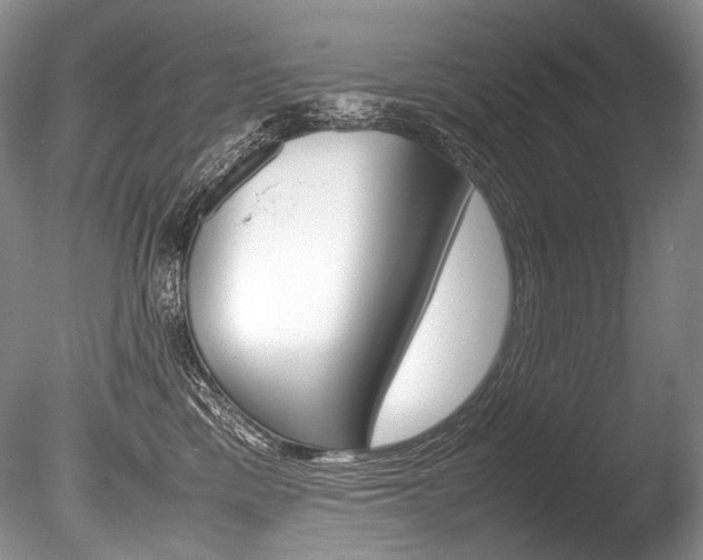 X0000086310425200703301001