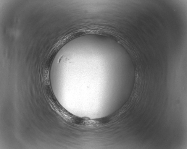 X0000086310429200703301001