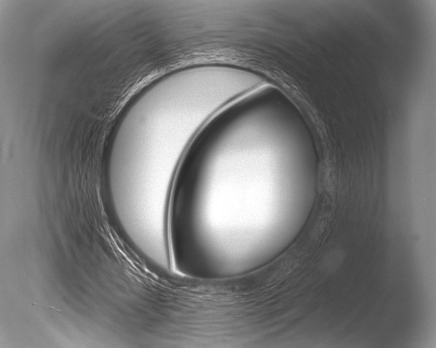 X0000086310434200703301000