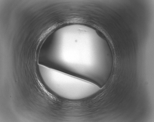X0000086310437200703301000