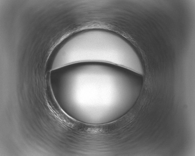 X0000086310440200703301000