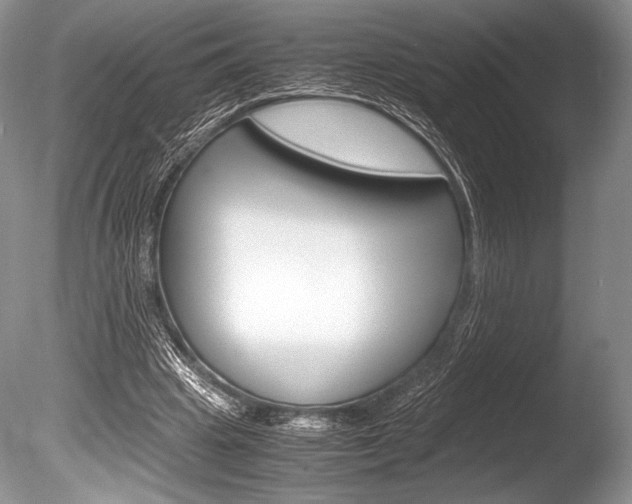 X0000086310441200703301000